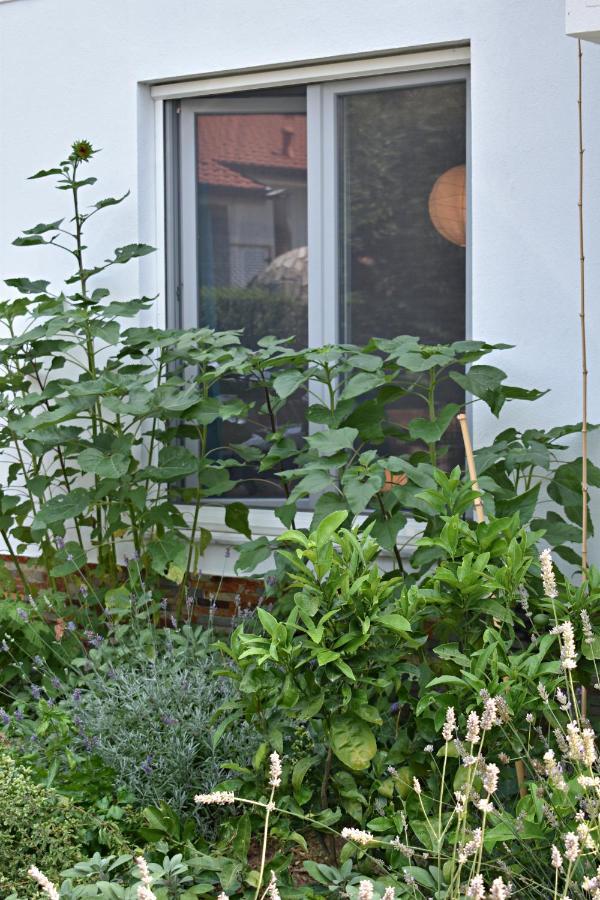 Apartamento Postaja 33 Zgornje Skofije Exterior foto